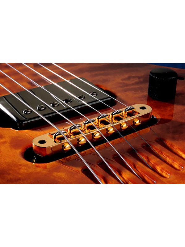 L.R. Baggs Chevalet Tune o matic
