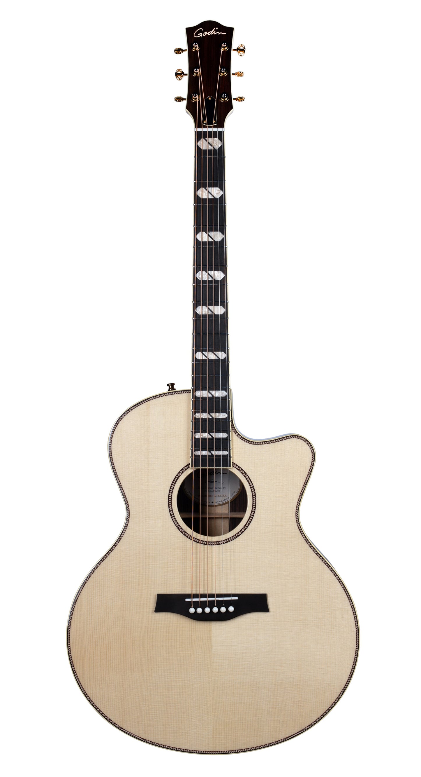 Godin Connaisseur MJ Natural RW + Etui