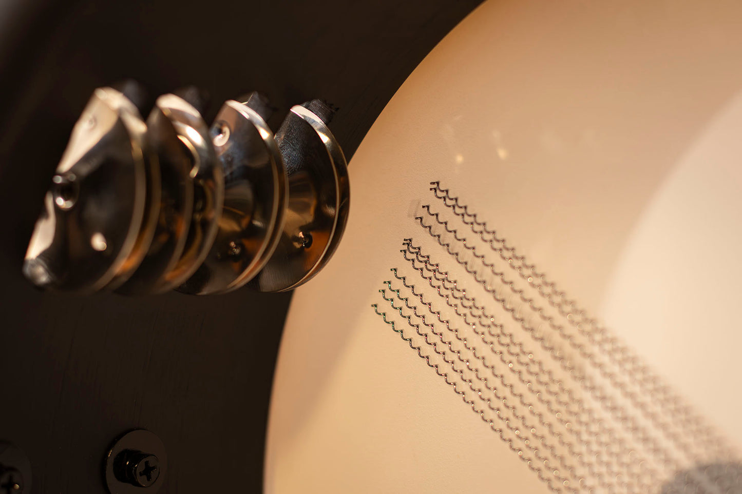 C.CLAIRE MEINL 10" avec clochettes de tambourins fût en érable noir mat