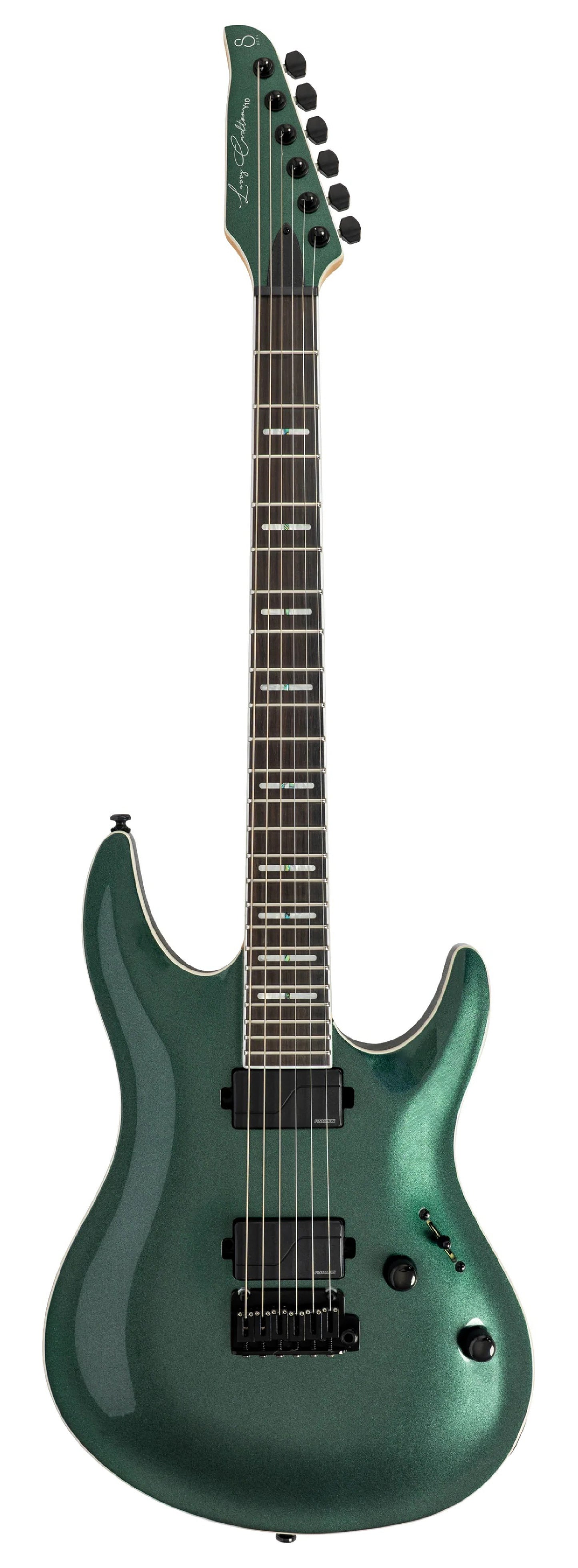 Larry Carlton Y10 MGR