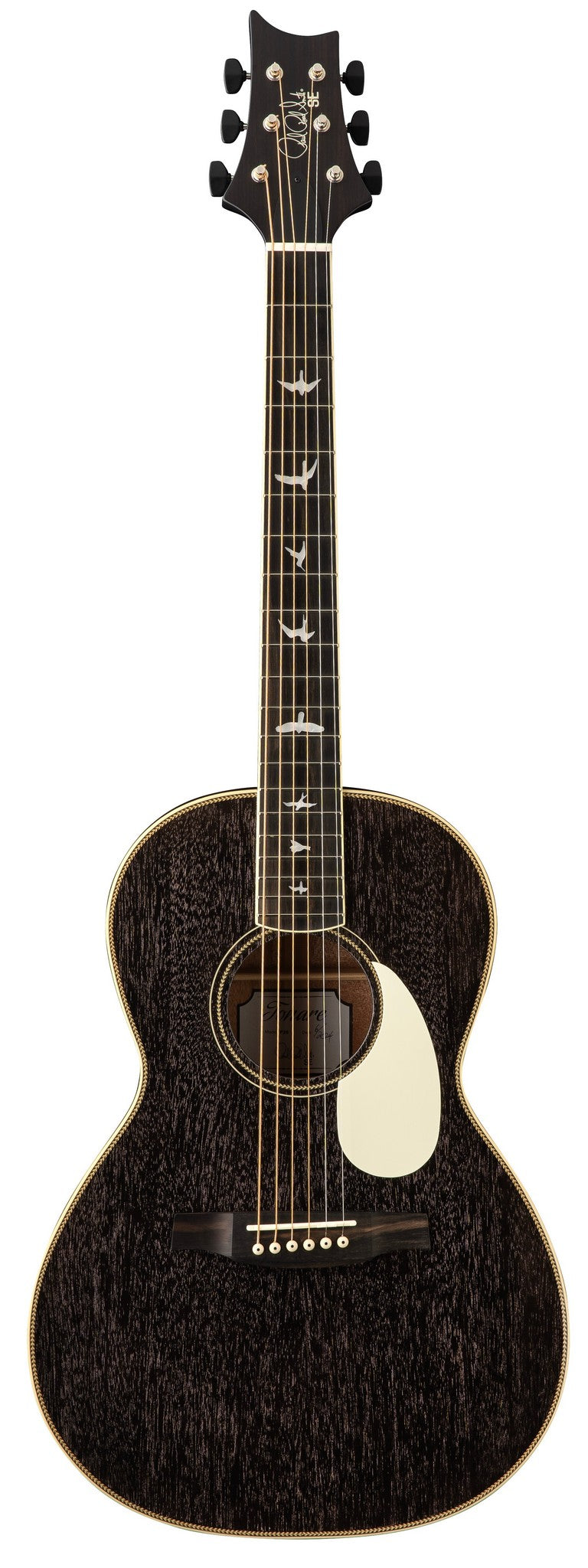 PRS GUITARS SE PARLOR 20 PIEZO DG DOG HAIR
