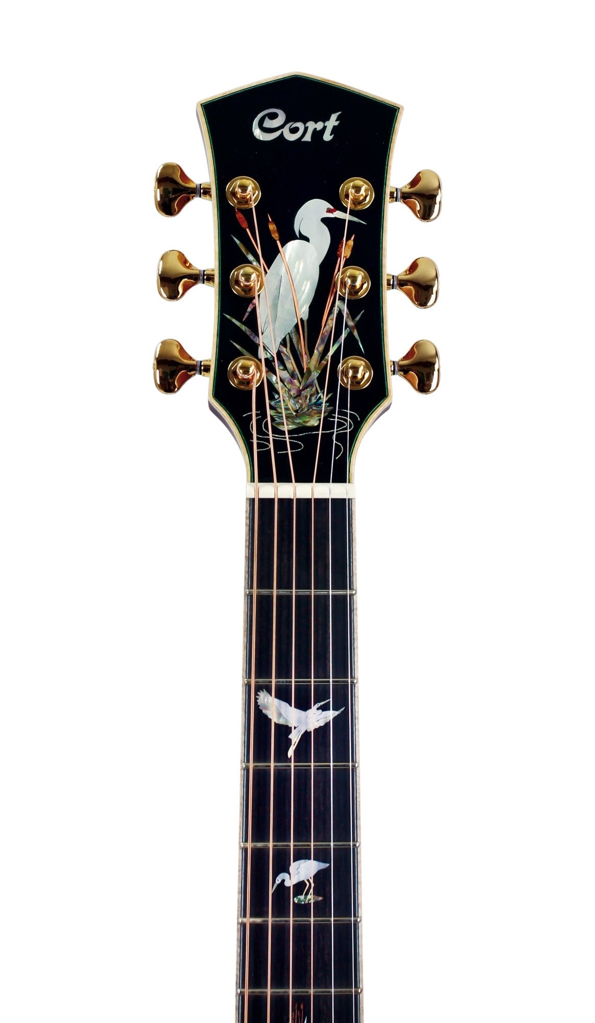 Cort ELE2CRANE Earth-Le2 Crane Brillant