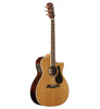 Alvarez Artist AG75WCE Naturel