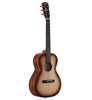 Alvarez Delta Delite A. Blues Shadowburst semi-brillant