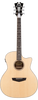 D'Angelico Premier Gramercy Gloss Cream