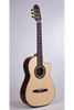 Altamira FZ-2