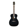 Godin Connaisseur Folk GT + housse