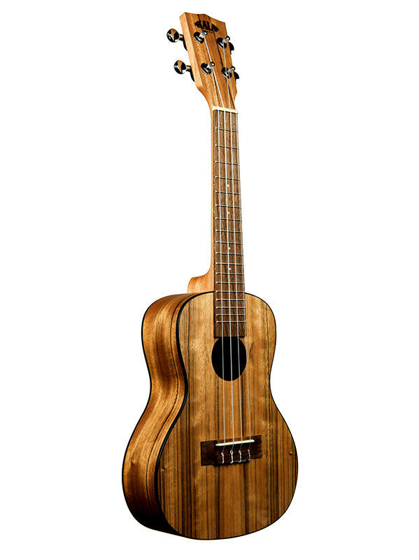 Pacific Walnut, Concert