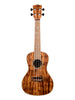 Kala Acacia Concert