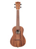 Kala Teak Concert