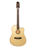 L.R. Baggs AEG-1 Natural