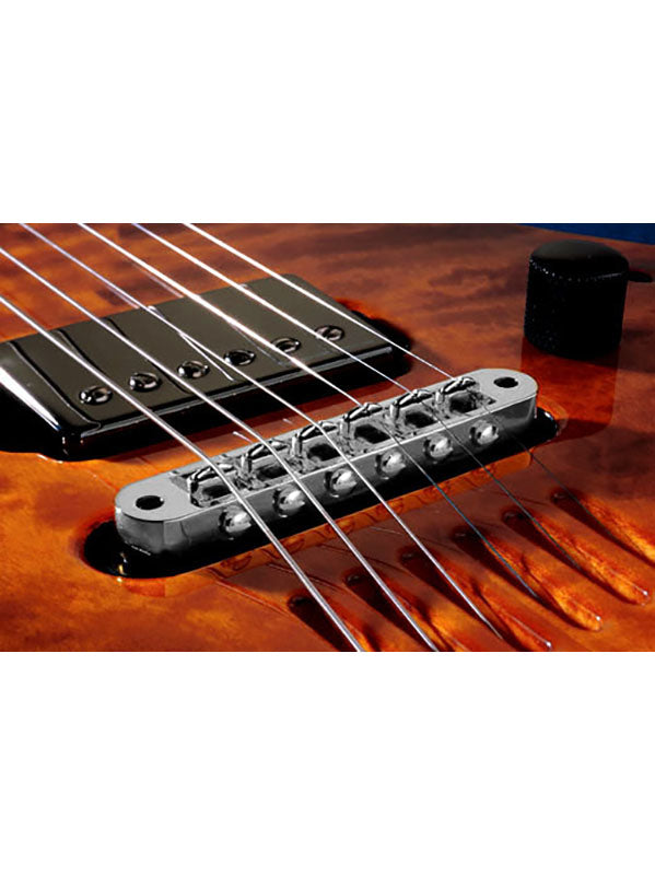 L.R. Baggs Chevalet Tune o matic