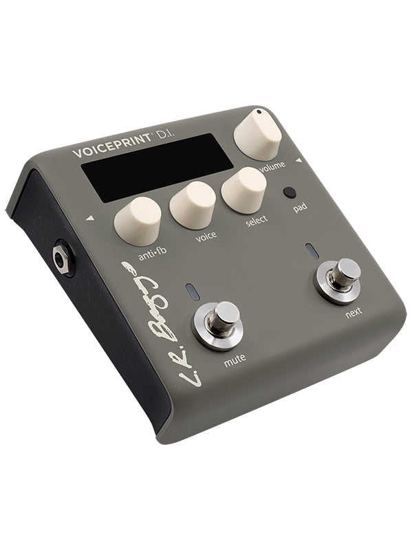 L.R. Baggs DI acoustique avec technologie Voice Print
