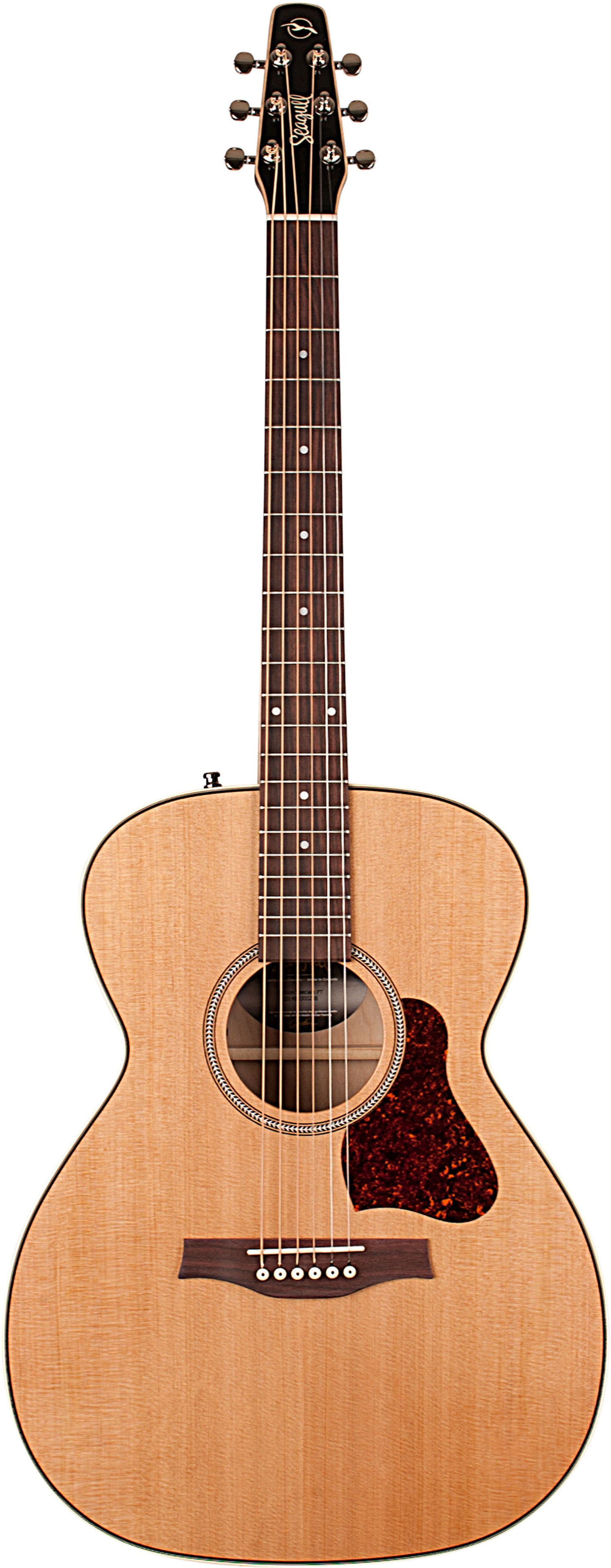 SEAGULL Coastline CH Momentum A/E HG