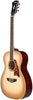 D'Angelico Excel Tammany Sepia Burst