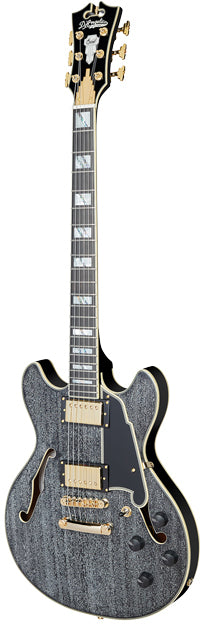 D'ANGELICO Excel Mini DC Black Dog