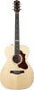 Godin Fairmount CH
