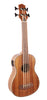 Alabama Ukulele FZU-BASS-Bass 4 cordes Electro Acoustique
