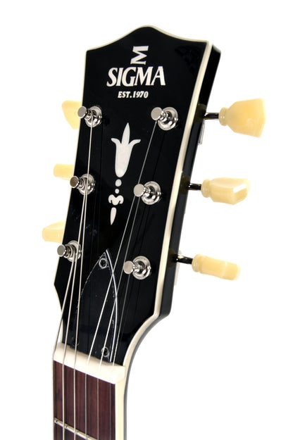 Modèle HBA-102P, Forme Semi-Hollow, table érable, f/e érable, touche palissandre, 2 micros P90 DogEar, noir brillant, soft case