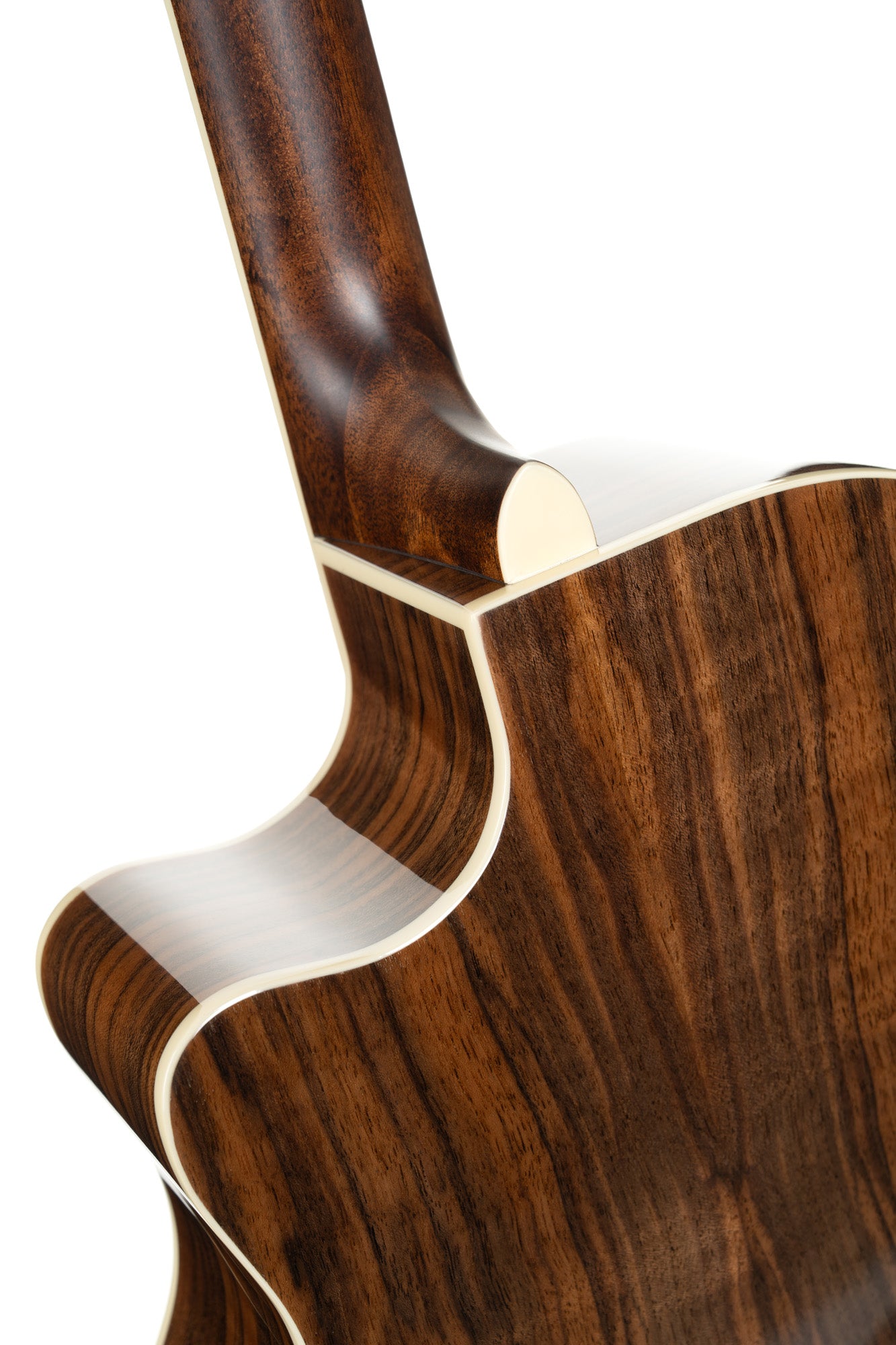 CORT EX-GA-WSS GUITARE EXOTIC GA NOYER