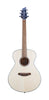Breedlove Discovery S Concert