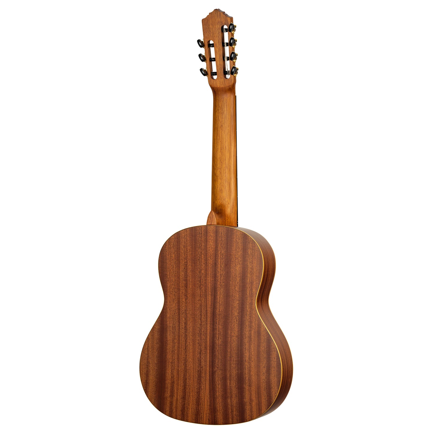 R133-7, modèle 7 cordes, table épicéa massif, fond & éclisses sapele, manche nato (sillet 60 mm), housse, naturel satiné