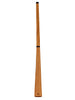 DIDGERIDOO SONIC ENERGY
