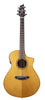 Breedlove Performer Pro Concert CE RW Aged Toner
