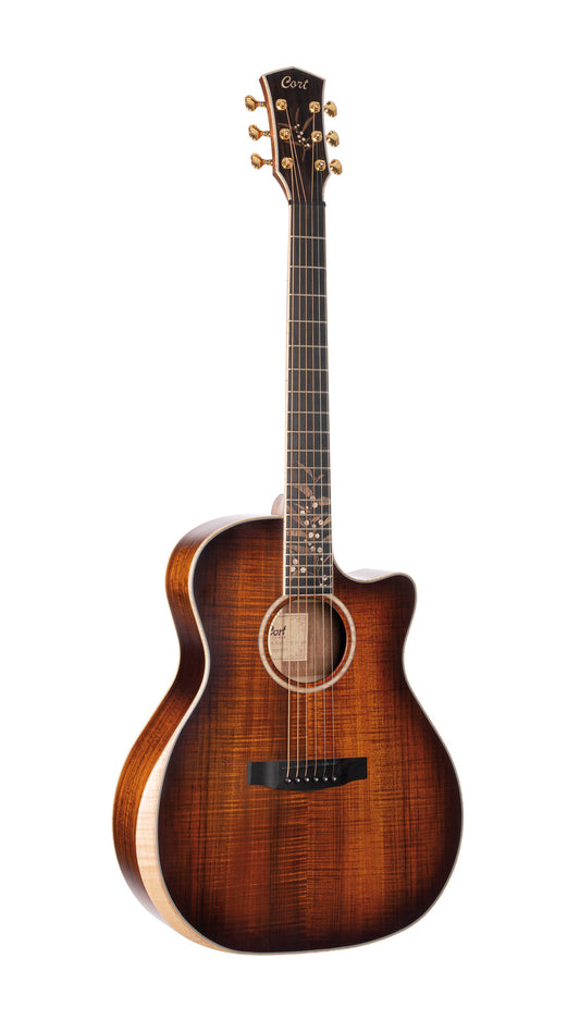 THE BLACK TREE, série limitée, table blackwood massif, f/e blackwood massif, EQ LR Baggs Anthem, étui, light burst satiné