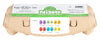 Nino SET19 Assortiment 12 Oeufs-Shaker Soft
