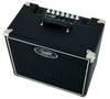Hayden Amplificateur Combo Mighty Mofo 5