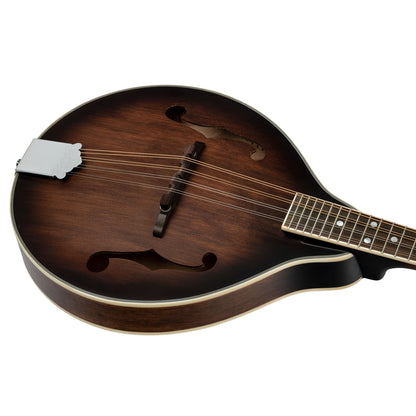 RMA30, mandoline 8 cordes style A, table épicéa, fond & éclisses érable, manche érable, whiskey burst satiné