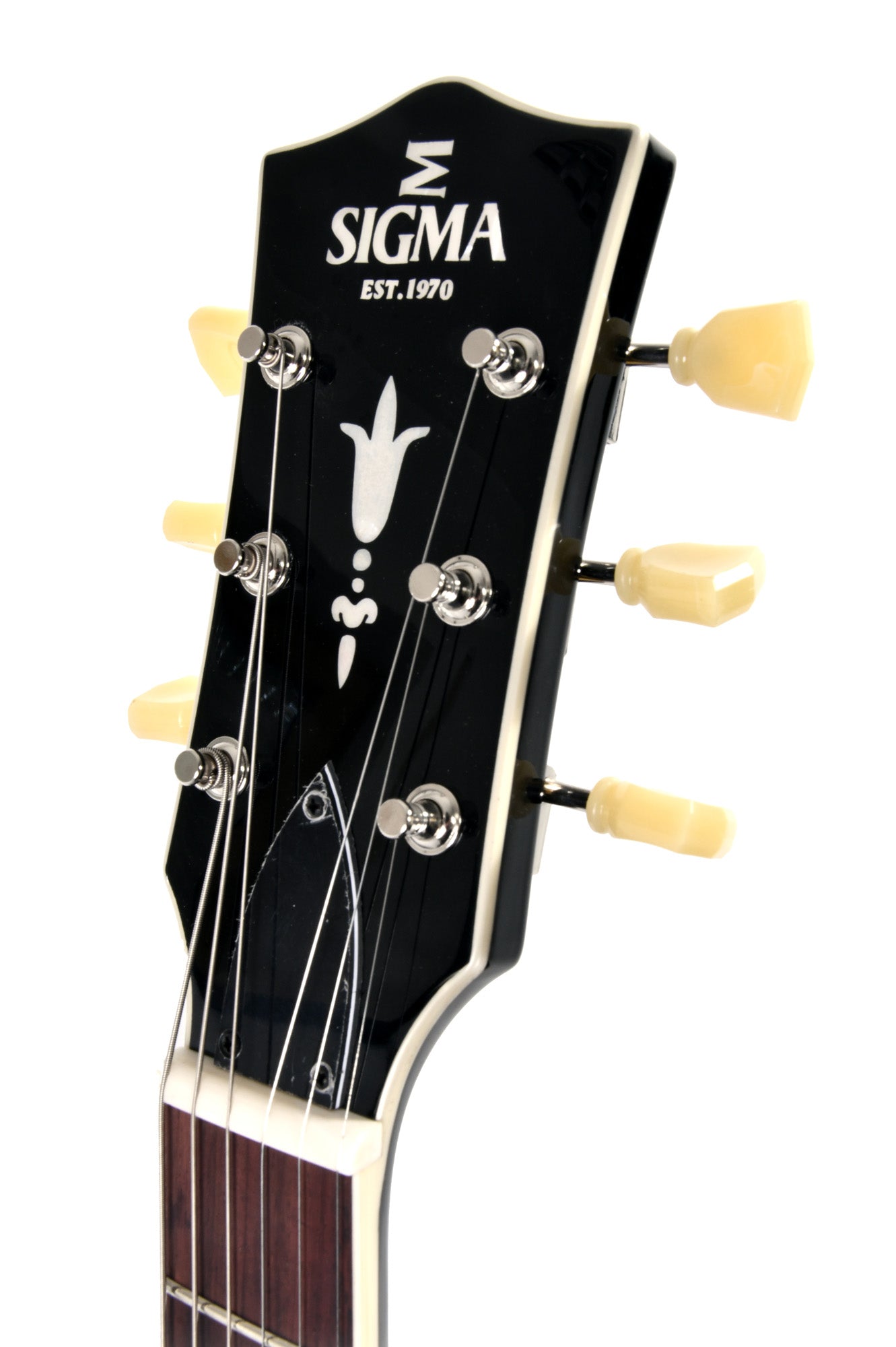 SIGMA SERIE HOLLOWBODY HBA-102P-VSB
