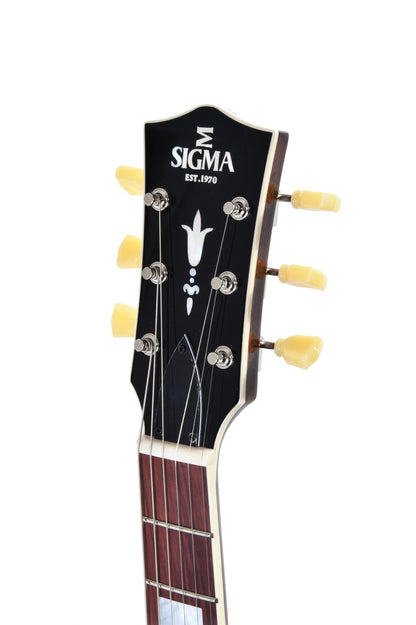 Modèle HBW-102H, Forme Semi-Hollow, table noyer noir, f/e noyer noir, touche palissandre, 2 micros Humbucker, dark stain, étui