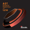 Black Smith Jeu Cordes Accoustique AOT 12 / 54