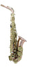 Trevor James Saxophone alto Evo 374SR-RK