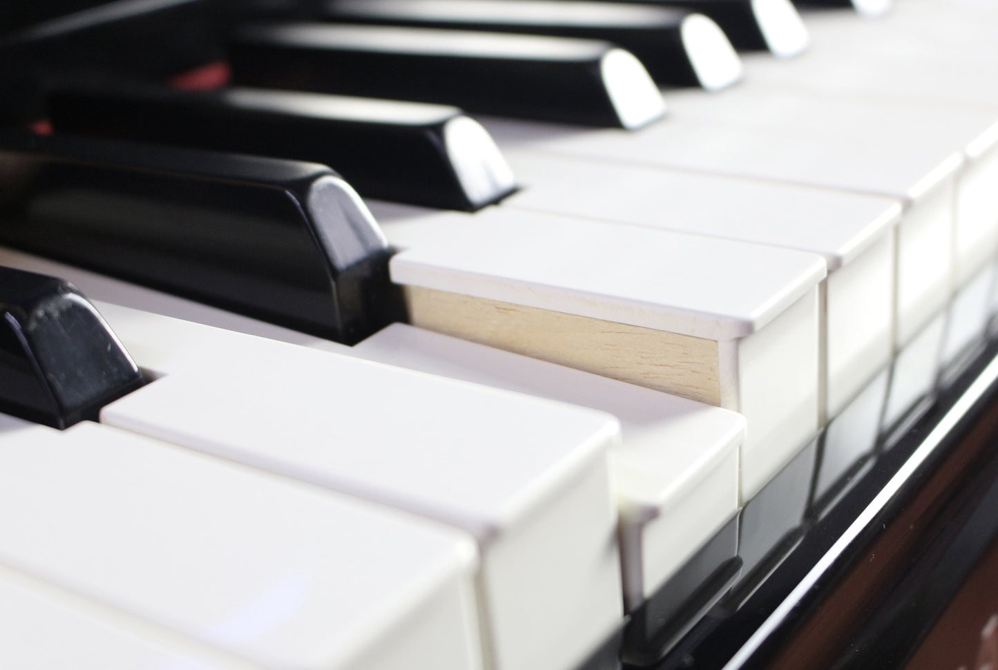 PEARL RIVER F83NR PIANO NUMERIQUE F-83 NOIR