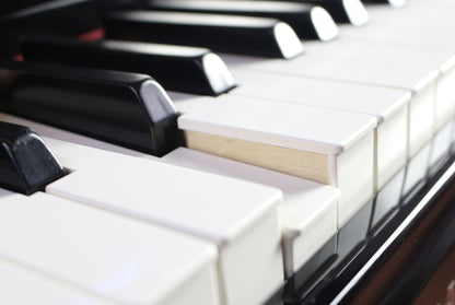 PEARL RIVER F83NR PIANO NUMERIQUE F-83 NOIR