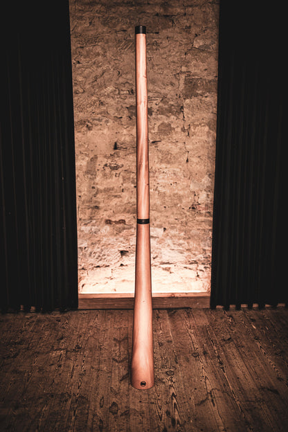 Didgeridoo Sliced ​​Pro. Accordage en Ré.