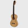 ESTEVE LACOTE GUITARE PALISSANDRE