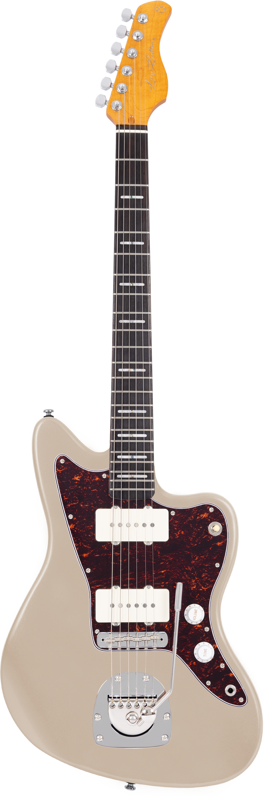 LARRY CARLTON J5 CGM RN