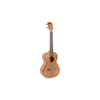 Kala PWT Tenor