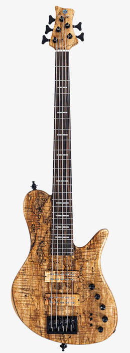 M. MILLER F10 DX 5 NT (Spalted Maple Top)