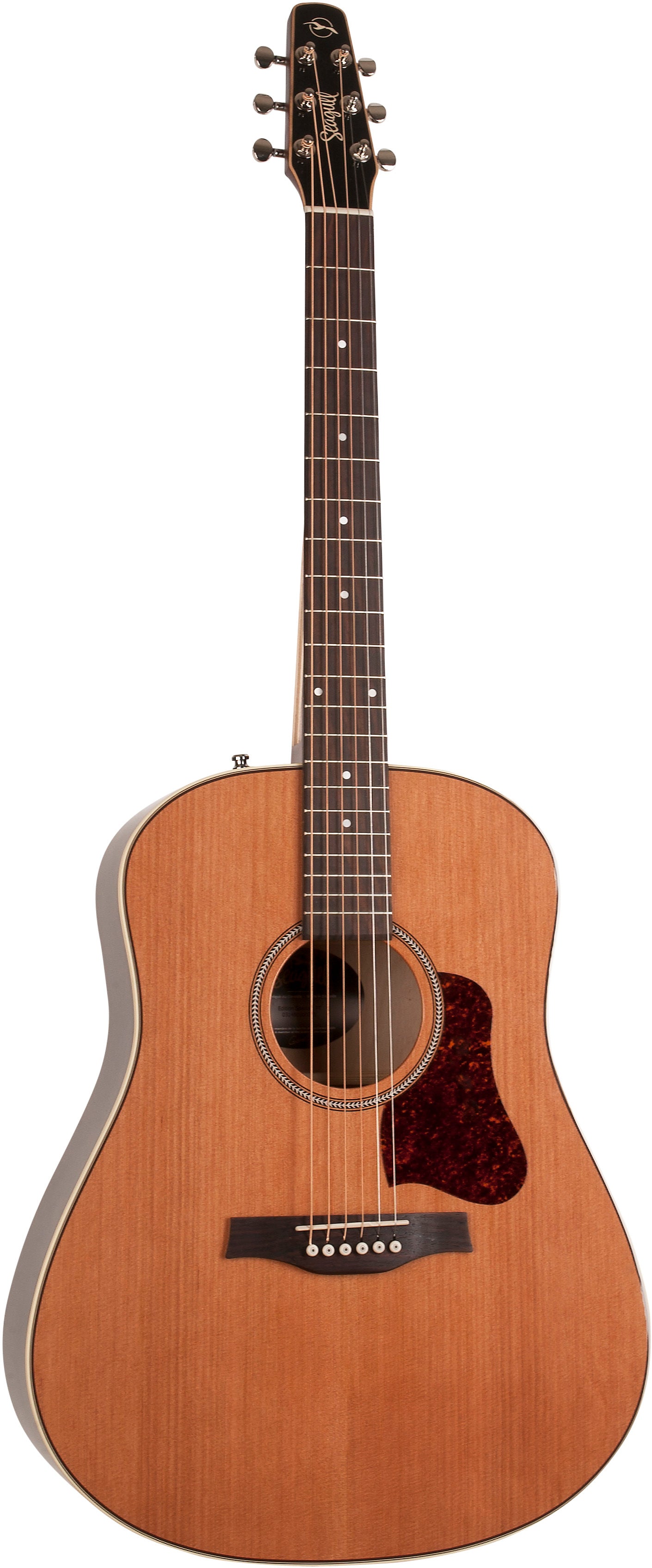 M. MILLER V5 Alder-4 FL TS MN