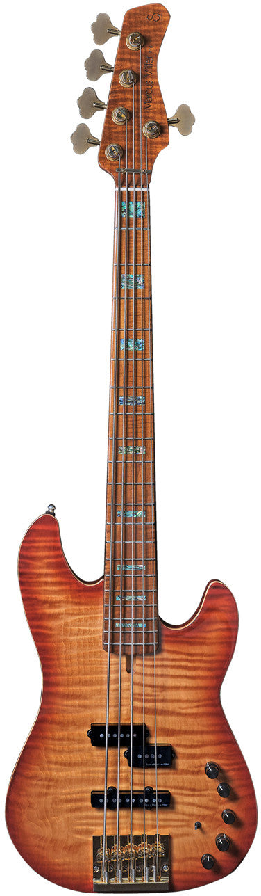 M. MILLER P10 DX Alder-5 TS MN + étui