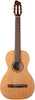 Godin Motif Clasica II