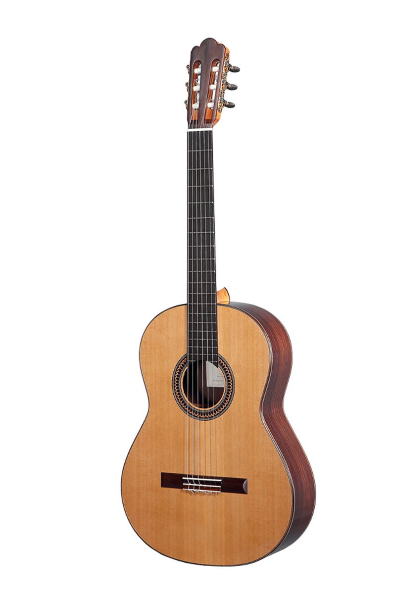 ALTAMIRA CLASSIQUE Ganadora N650 4/4 EN + housse