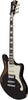 D'Angelico Premier Bedford SH Blake Flake