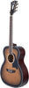 D'Angelico Premier Tammany Aged Burst