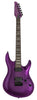 Larry Carlton Y10 Purple Sparkle